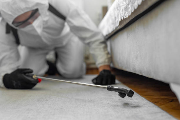 Professional Termite Control technician working in McKinley, PA