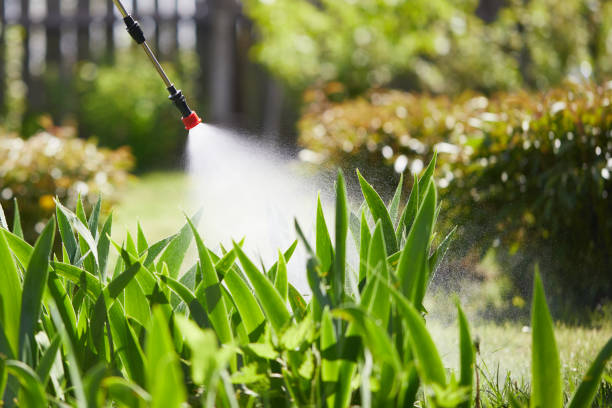 24/7 Emergency Termite Control experts in McKinley, PA